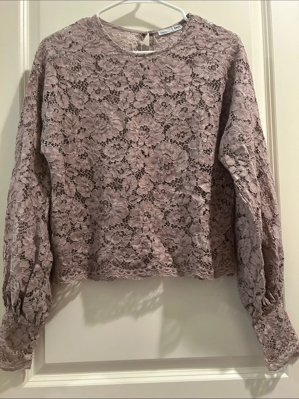 Zara GORGEOUS SEXY Lace peekaboo LongSleeve Blouse scallop hem size M beige